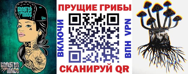 Галлюциногенные грибы MAGIC MUSHROOMS  купить наркотики сайты  Северск 