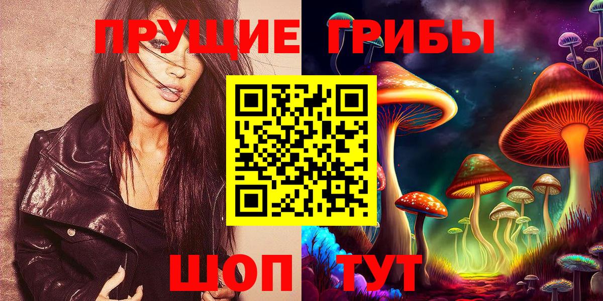 Псилоцибиновые грибы прущие грибы  Вход с VPN  Псилоцибиновые грибы MAGIC MUSHROOMS  Северск 