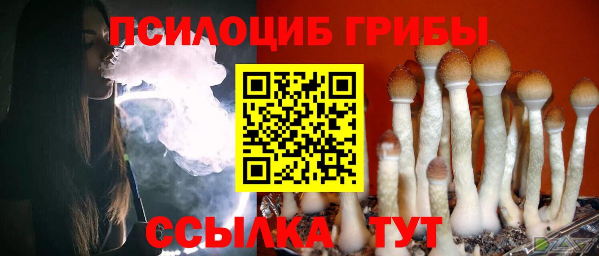 Галлюциногенные грибы прущие грибы Северск